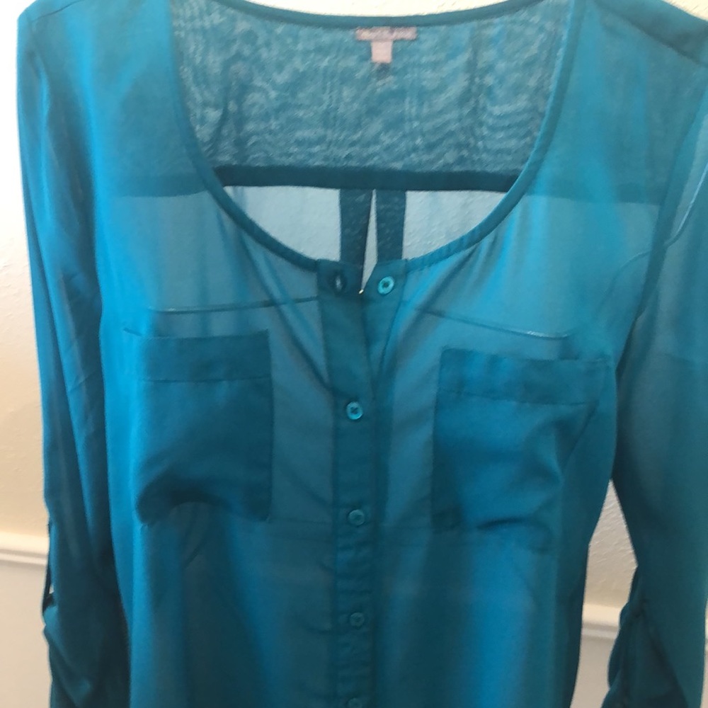 Beautiful sheer button down top - Picture 2 of 4